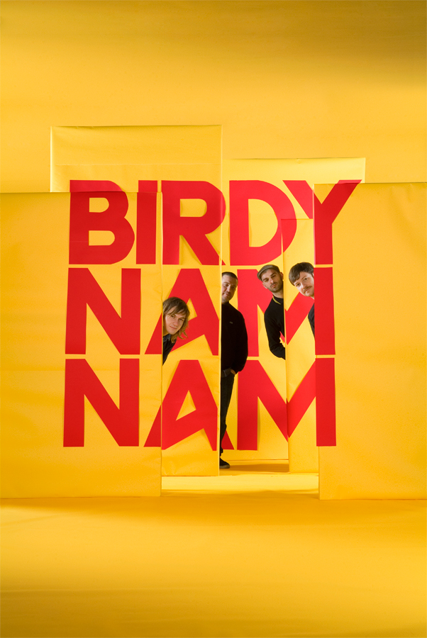 Birdy Nam Nam