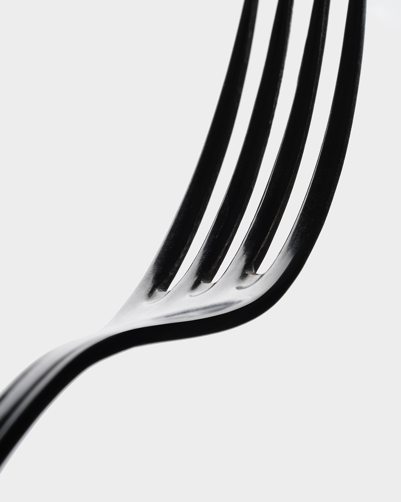 Forks B&W