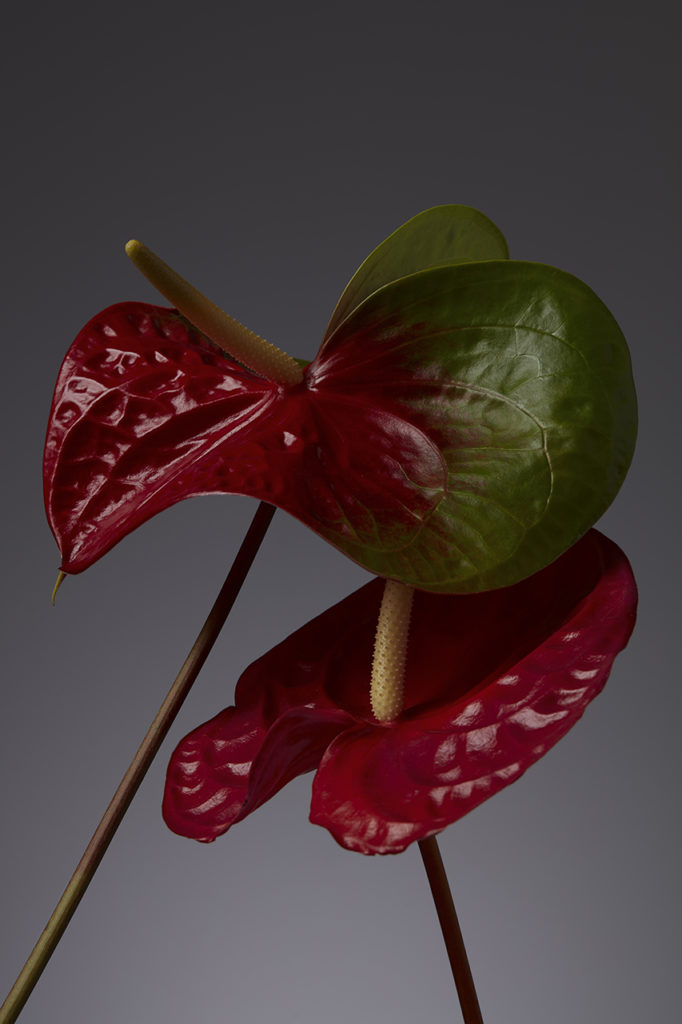 Fleurettes